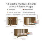 Lit de bébé convertible 8-en-1 Babyletto Palma avec berceau et kits pour lit de tout-petit
