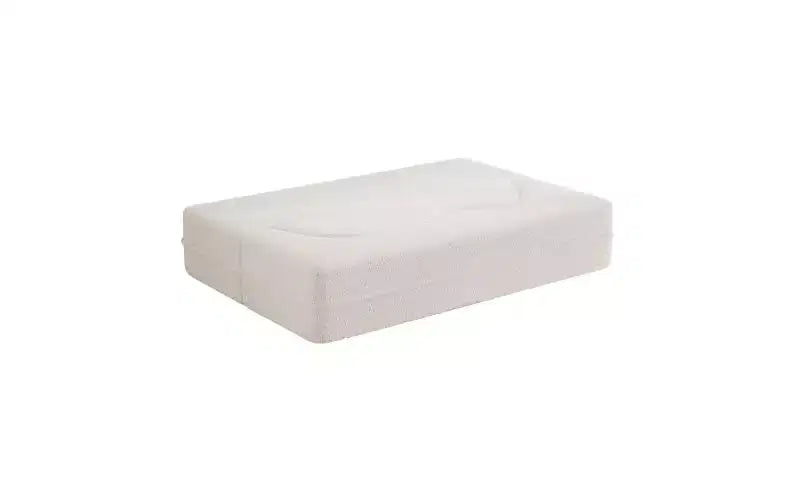 Modern Floor Sofa with 2 Pillows, Convertible Teddy Fabric Sleeper Sofa Bed for Living Room