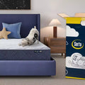 Serta Five Star Mattress - 10 Medium