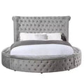 Lit Queen 109 Gaiva, velours gris - Acme Furniture : Design élégant avec clous décoratifs et capitonnage à boutons, cadre en bois composite