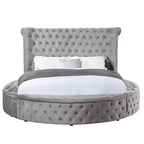 Lit Queen 109 Gaiva, velours gris - Acme Furniture : Design élégant avec clous décoratifs et capitonnage à boutons, cadre en bois composite