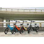 Vélo électrique pliable adulte GoPowerBike GoPlus