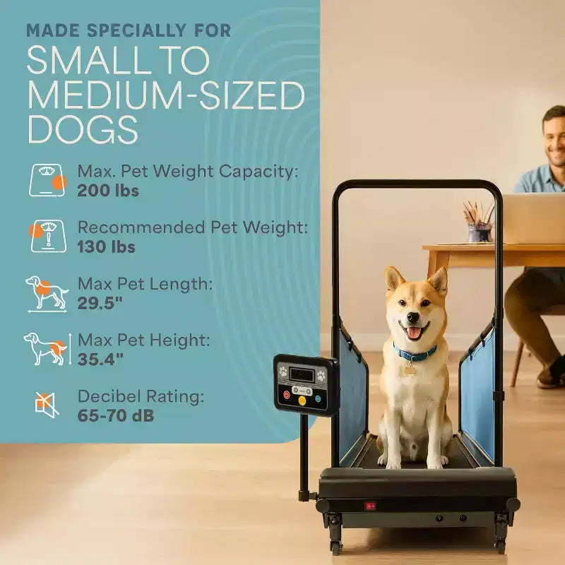 Tapis de course pour chiens LifePro PawRunner pour chiens de petite et moyenne taille – Tapis de course d'intérieur pour animaux jusqu'à 59 kg, tapis de course compact pour chiens pour la remise en forme et l'entraînement