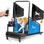 Tapis de course pour chiens LifePro PawRunner pour chiens de petite et moyenne taille – Tapis de course d'intérieur pour animaux jusqu'à 59 kg, tapis de course compact pour chiens pour la remise en forme et l'entraînement