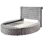 Lit Queen 109 Gaiva, velours gris - Acme Furniture : Design élégant avec clous décoratifs et capitonnage à boutons, cadre en bois composite