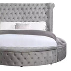 Lit Queen 109 Gaiva, velours gris - Acme Furniture : Design élégant avec clous décoratifs et capitonnage à boutons, cadre en bois composite