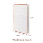 Matelas de berceau biologique Babyletto Babyletto x Avocado 2 étapes et 100 % non toxique - Blanc